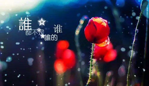 假千金她是真大佬