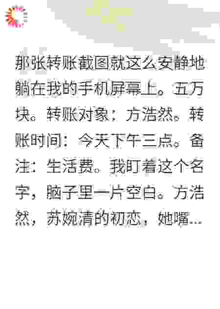 妻子给小三转钱被我发现了