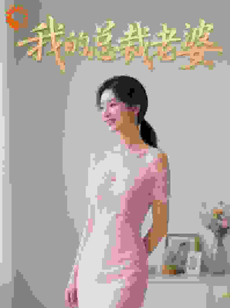 我的温柔总裁老婆