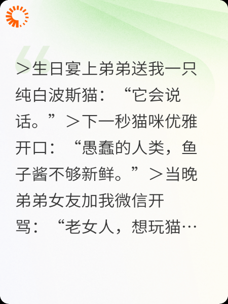 姐姐的波斯猫开口，四个女人疯了